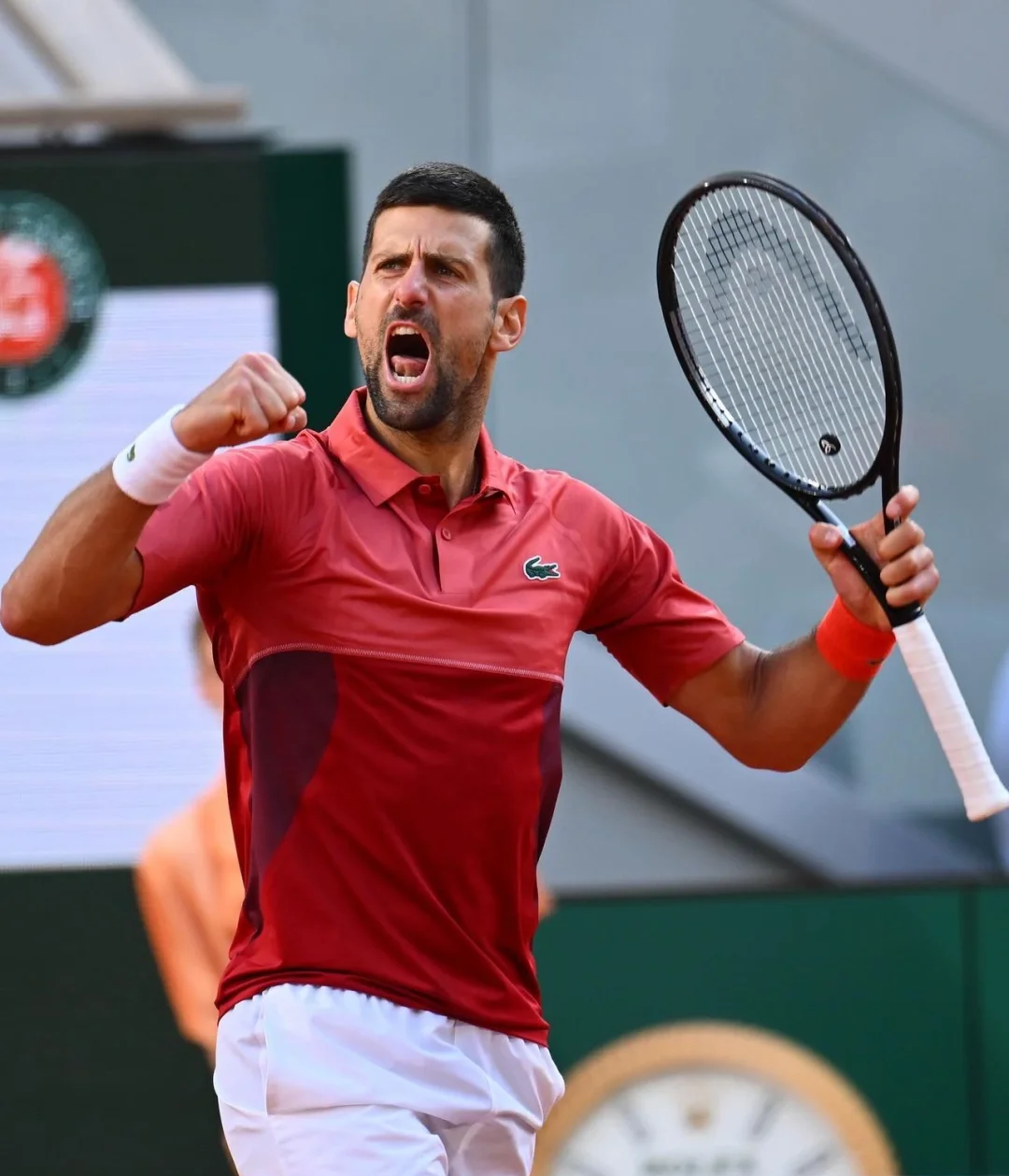 法国网球队横扫日本网球队，德约科维奇高光表现的简单介绍