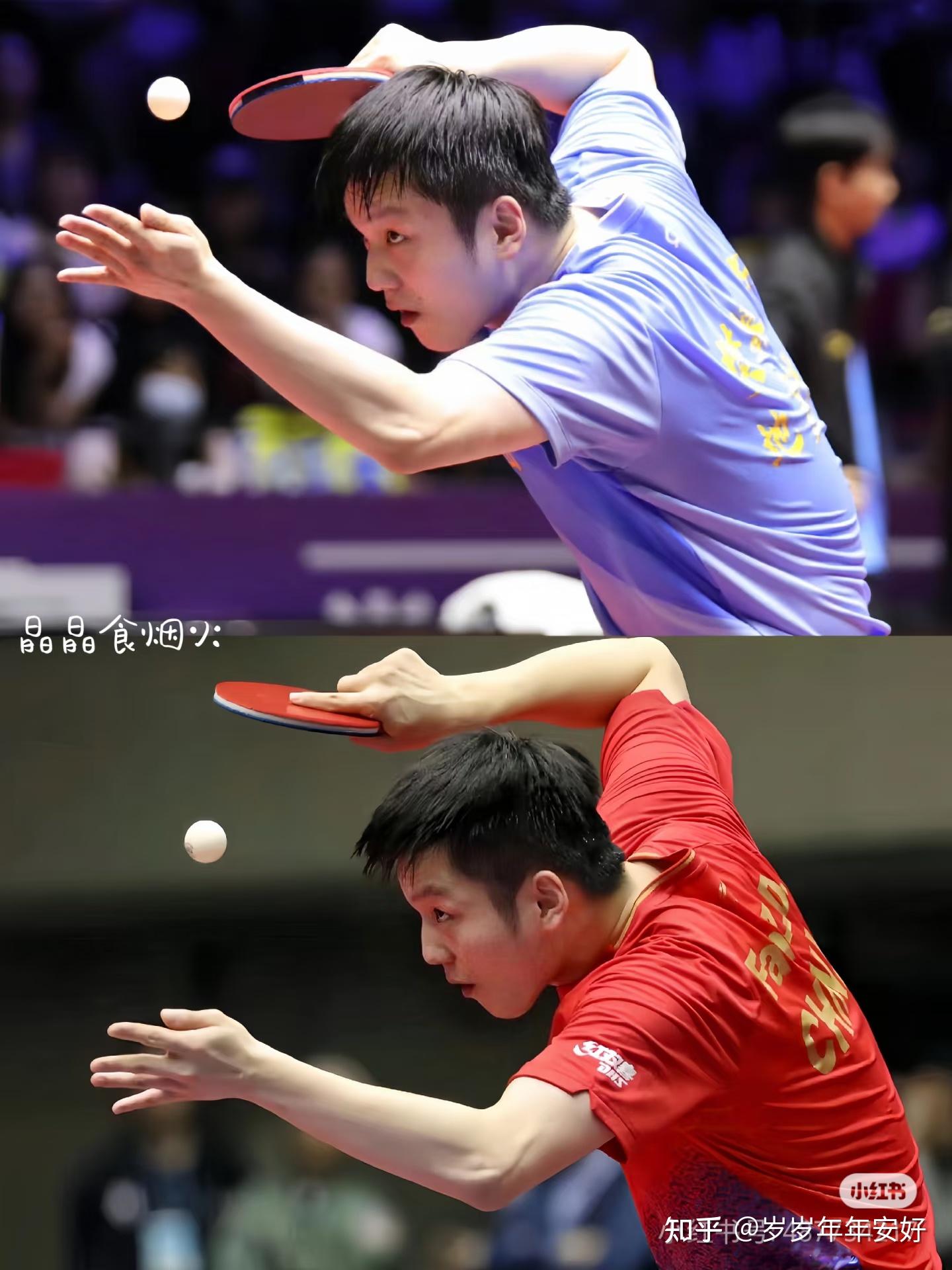 关于韩国乒乓球队险胜英国乒乓球队，樊振东关键制胜的信息