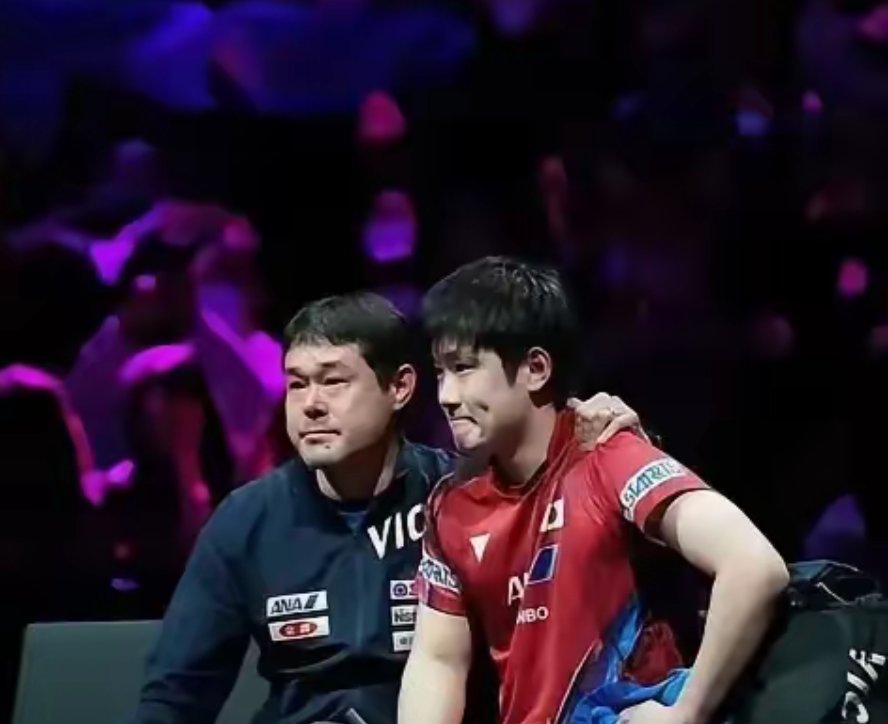 法国乒乓球队绝地反击中国乒乓球队，张本智和制霸全场的简单介绍